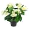 11" Cream Potted Silk Begonia Floral Arrangement